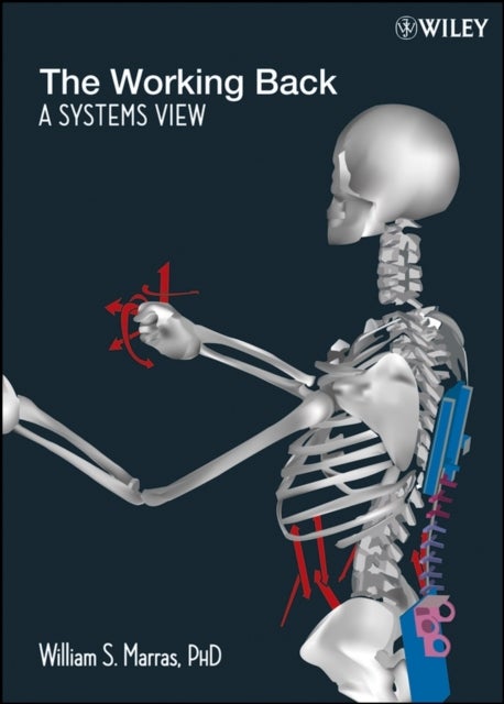 The Working Back – A Systems View - A Systems View