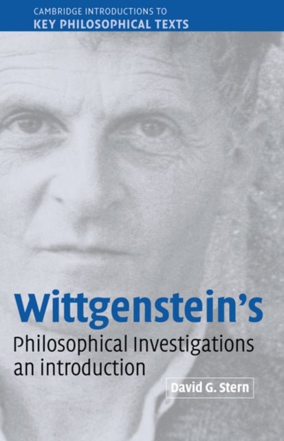 Wittgenstein''s Philosophical Investigations