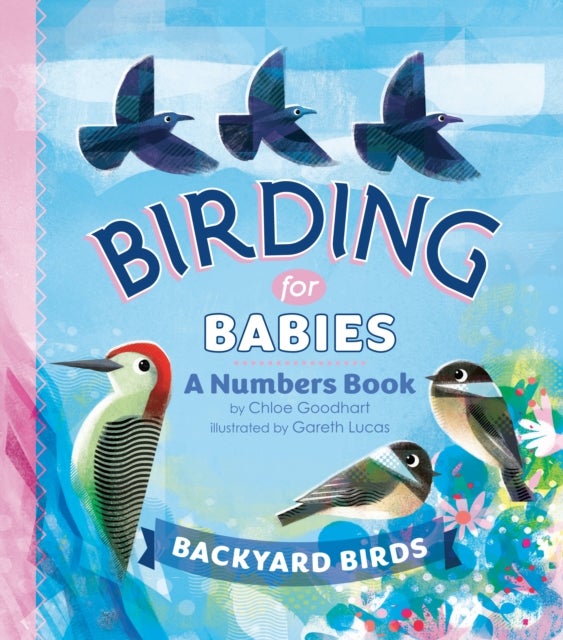 Birding for Babies: Backyard Birds - A Numbers Book