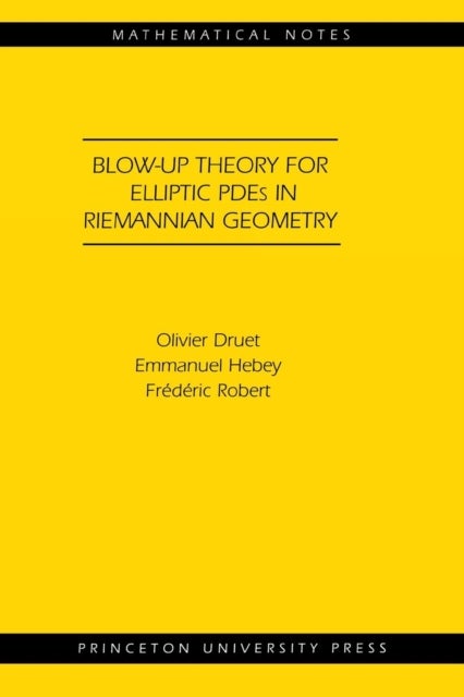 Blow–up Theory for Elliptic PDEs in Riemannian Geometry