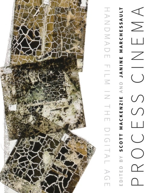 Process Cinema - Handmade Film in the Digital Age