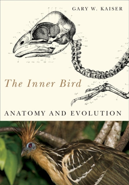 The Inner Bird – Anatomy and Evolution - Anatomy and Evolution
