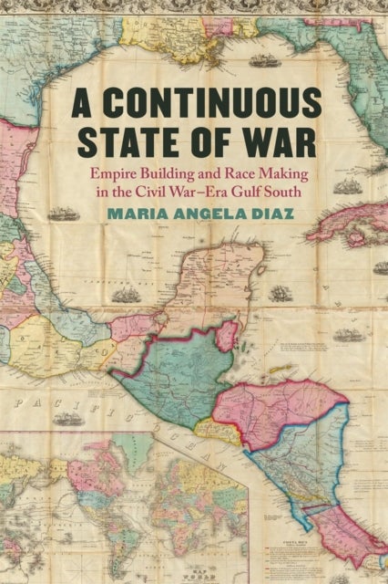 A Continuous State of War - Empire Building and Race Making in the Civil War–Era Gulf South