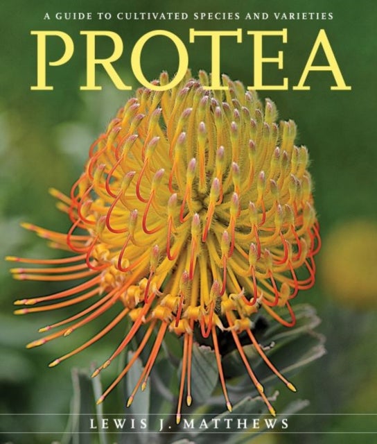 Protea - A Guide to Cultivated Species and Varieties
