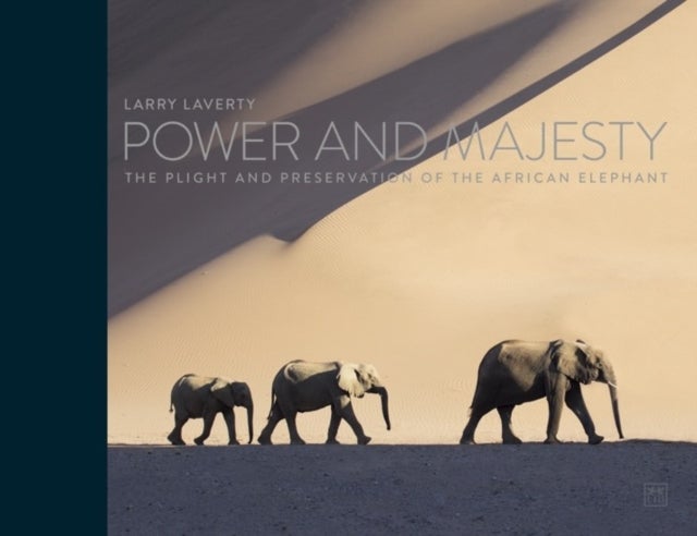 Power and Majesty av Larry Laverty
