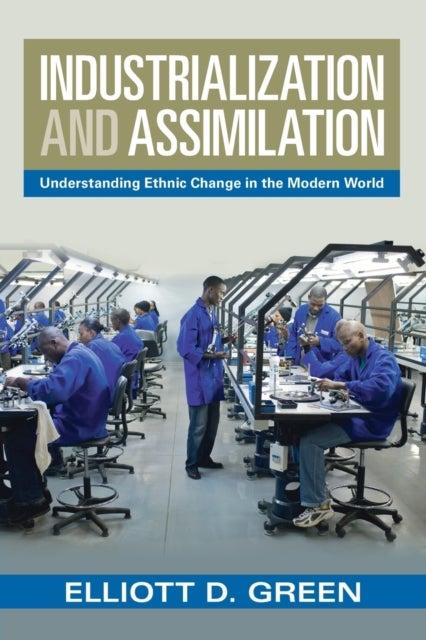 Industrialization and Assimilation - Understanding Ethnic Change in the Modern World