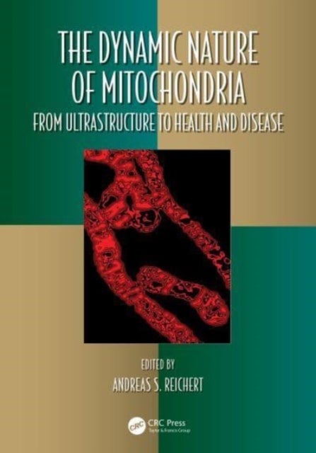The Dynamic Nature of Mitochondria - from Ultrastructure to Health and Disease