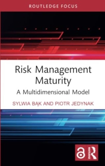 Risk Management Maturity - A Multidimensional Model