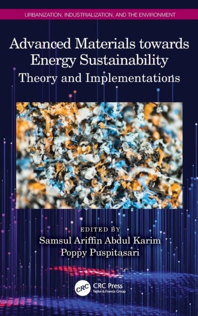 Advanced Materials towards Energy Sustainability - Theory and Implementations
