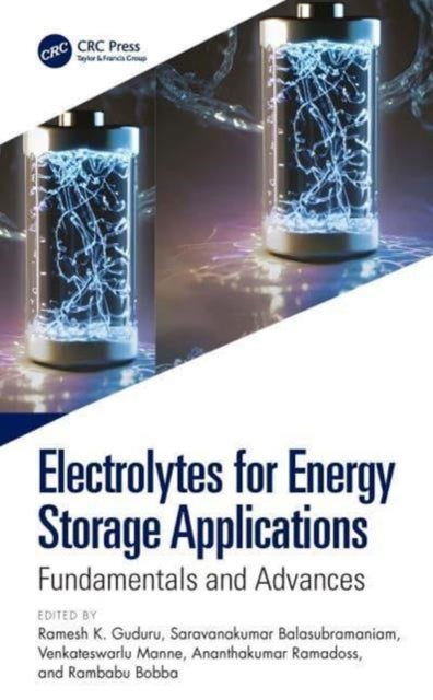 Electrolytes for Energy Storage Applications - Fundamentals and Advances
