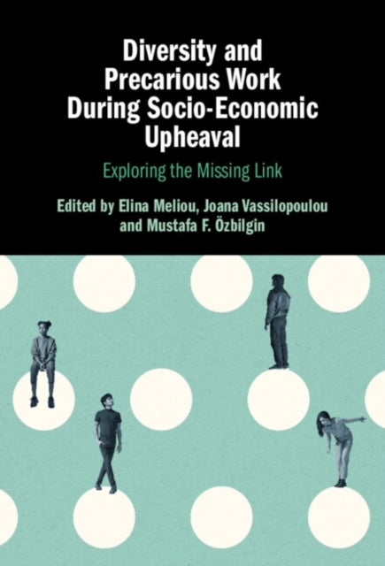 Diversity and Precarious Work During Socio-Economic Upheaval - Exploring the Missing Link