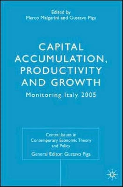 Capital Accumulation, Productivity and Growth