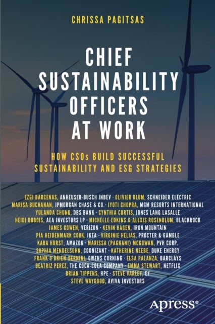 Chief Sustainability Officers At Work - How CSOs Build Successful Sustainability and ESG Strategies