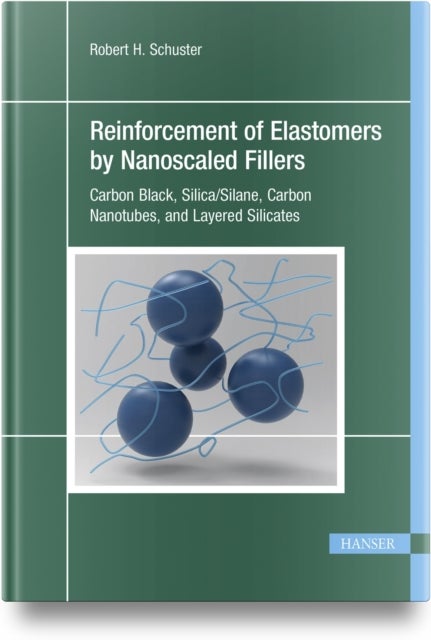 Reinforcement of Elastomers by Nanoscaled Fillers - Carbon Black, Silica/Silane, Carbon Nanotubes, and Layered Silicates