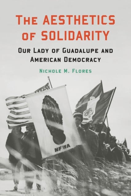 The Aesthetics of Solidarity