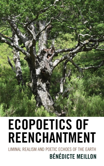 Ecopoetics of Reenchantment - Liminal Realism and Poetic Echoes of the Earth