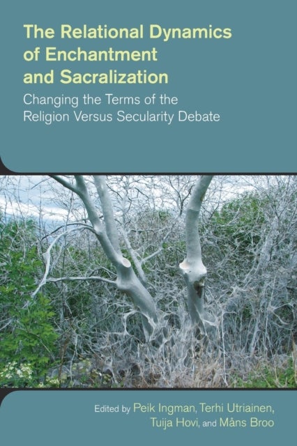 The Relational Dynamics of Enchantment and Sacralization - Canging the Terms of the Religion versus Secularity Debate