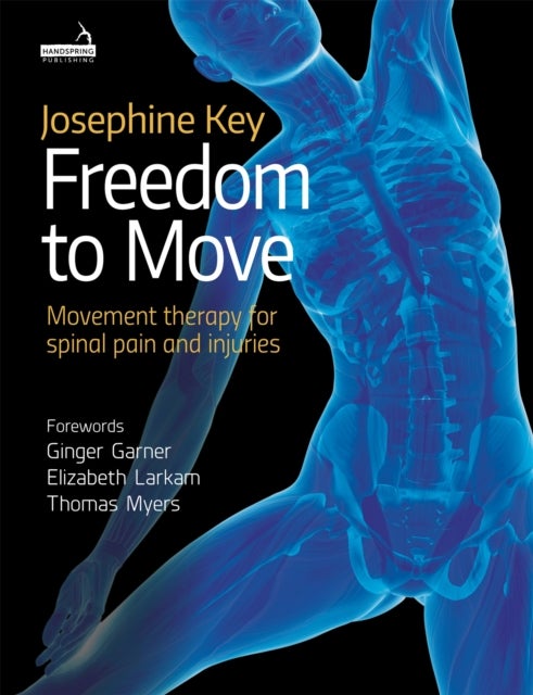 Well Connected - The Art and Science of Tailoring Movement Therapy for Spinal Pain and Injuries - A Practical Guide for Pilates, Yoga and Integrated Movement Therapists