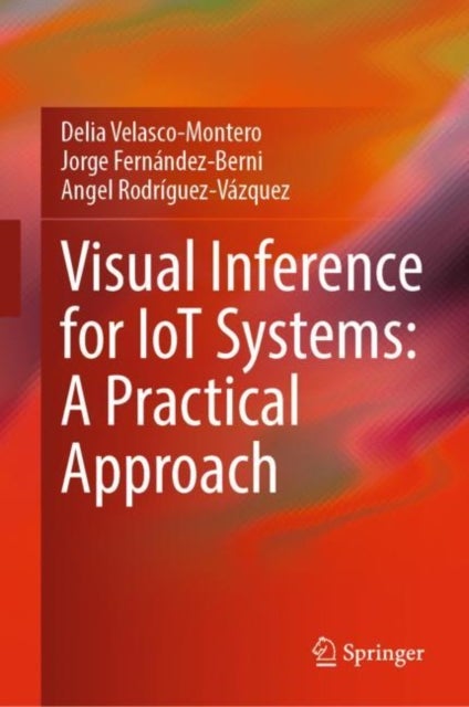 Visual Inference for IoT Systems