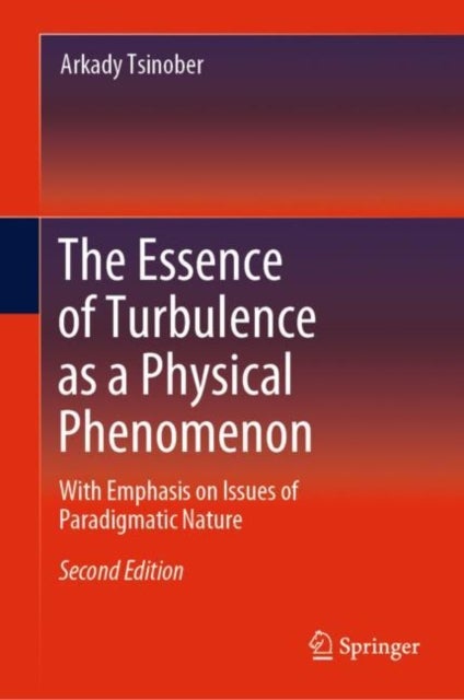 The Essence of Turbulence as a Physical Phenomenon - With Emphasis on Issues of Paradigmatic Nature