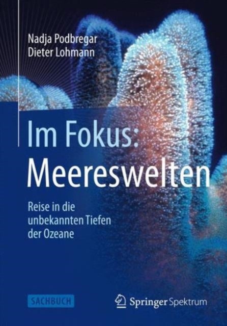 Im Fokus