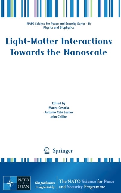 Light-Matter Interactions Towards the Nanoscale