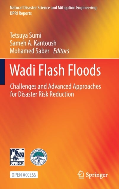 Wadi Flash Floods - Challenges and Advanced Approaches for Disaster Risk Reduction
