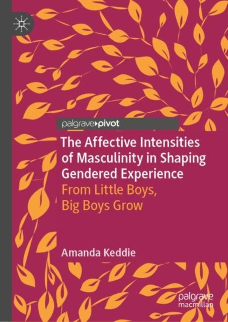 The Affective Intensities of Masculinity in Shaping Gendered Experience - From Little Boys, Big Boys Grow