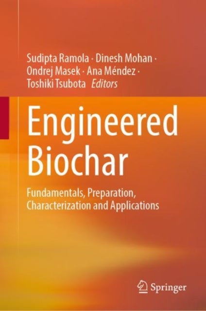 Engineered Biochar - Fundamentals, Preparation, Characterization and Applications