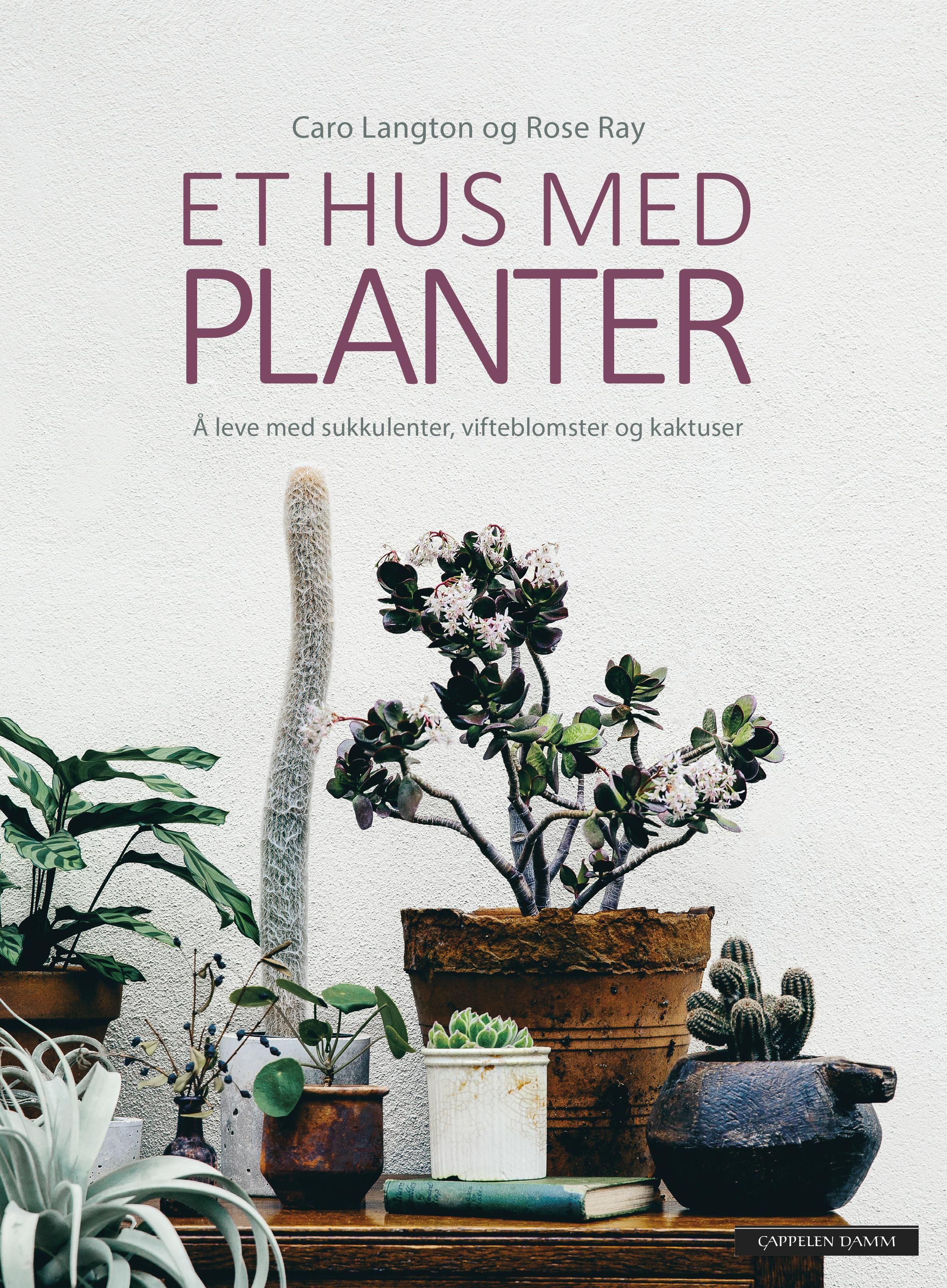 Et hus med planter - å leve med sukkulenter, vifteblomster og kaktuser