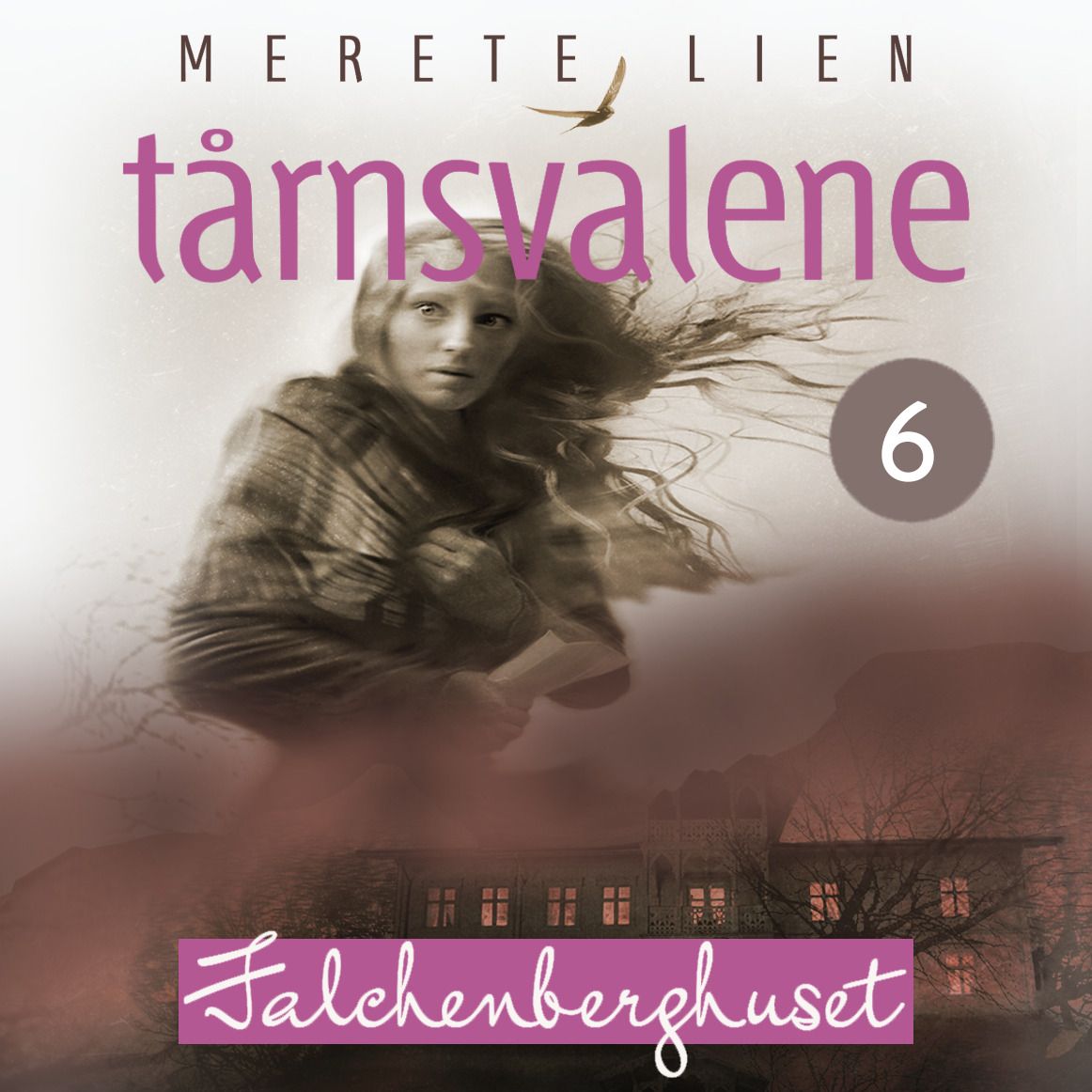 Falchenberghuset
