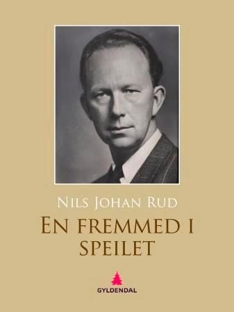 En fremmed i speilet - roman