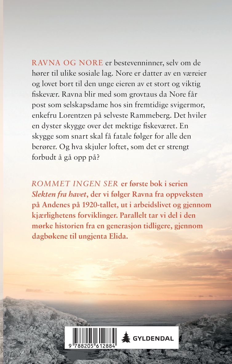 Rommet ingen ser