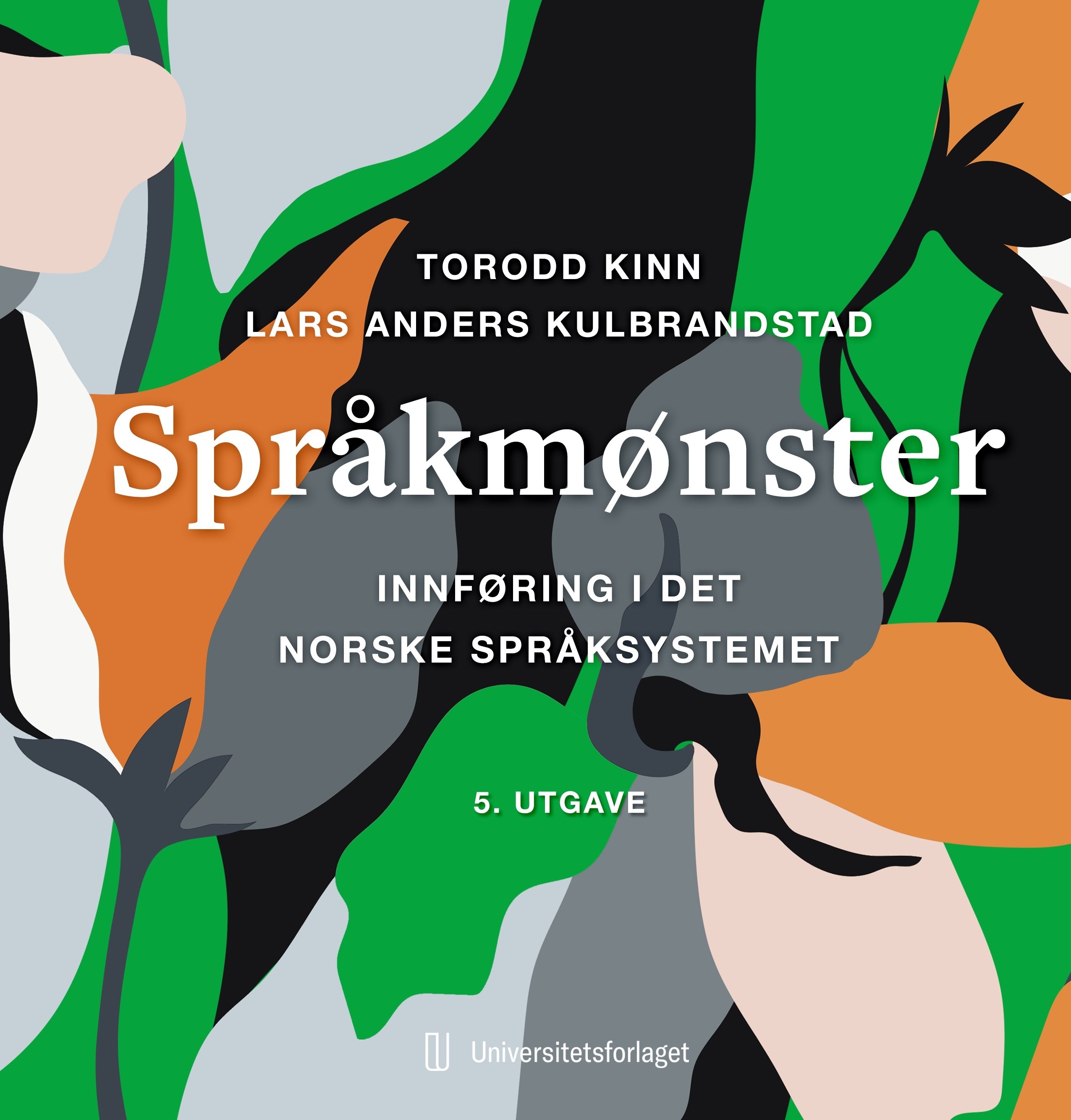 Språkmønster - innføring i det norske språksystemet