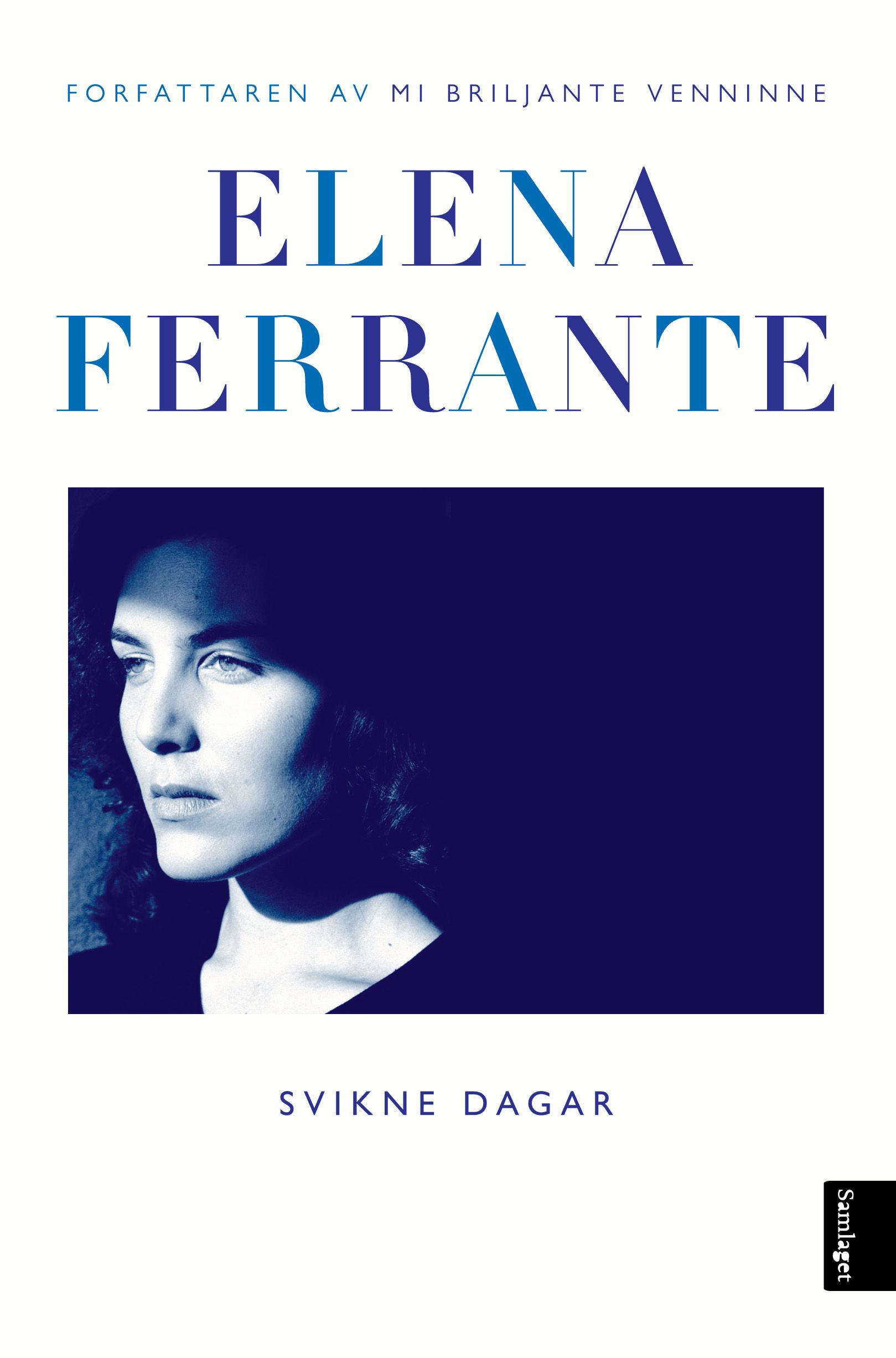 Svikne dagar - roman