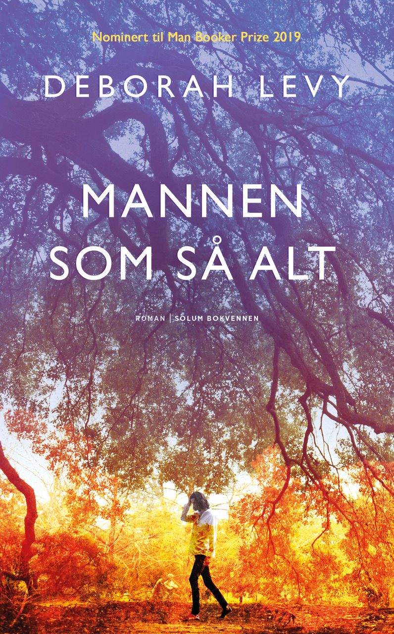 Mannen som så alt - roman
