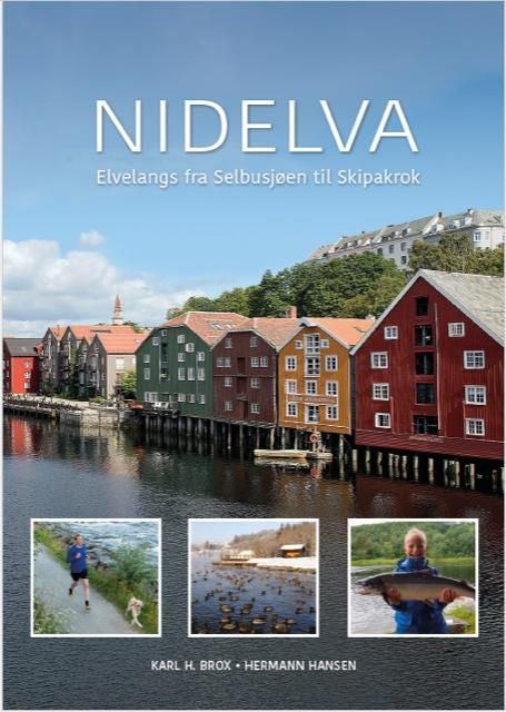 Nidelva - elvelangs fra Selbusjøen til Skipakrok