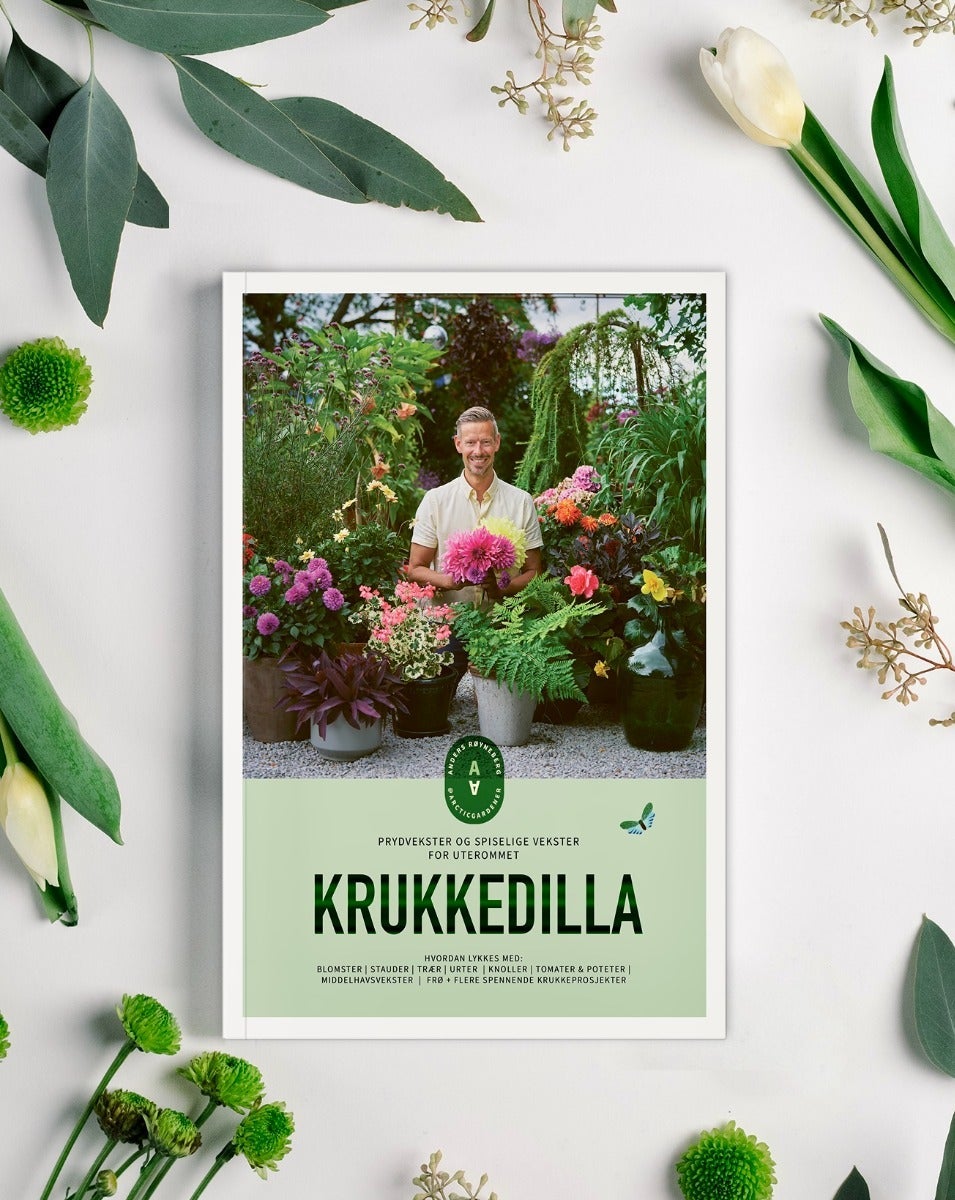 Krukkedilla
