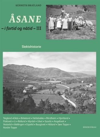 Åsane - i fortid og nåtid : III : slektshistorie