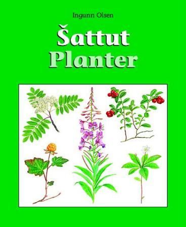 Sattut = Planter