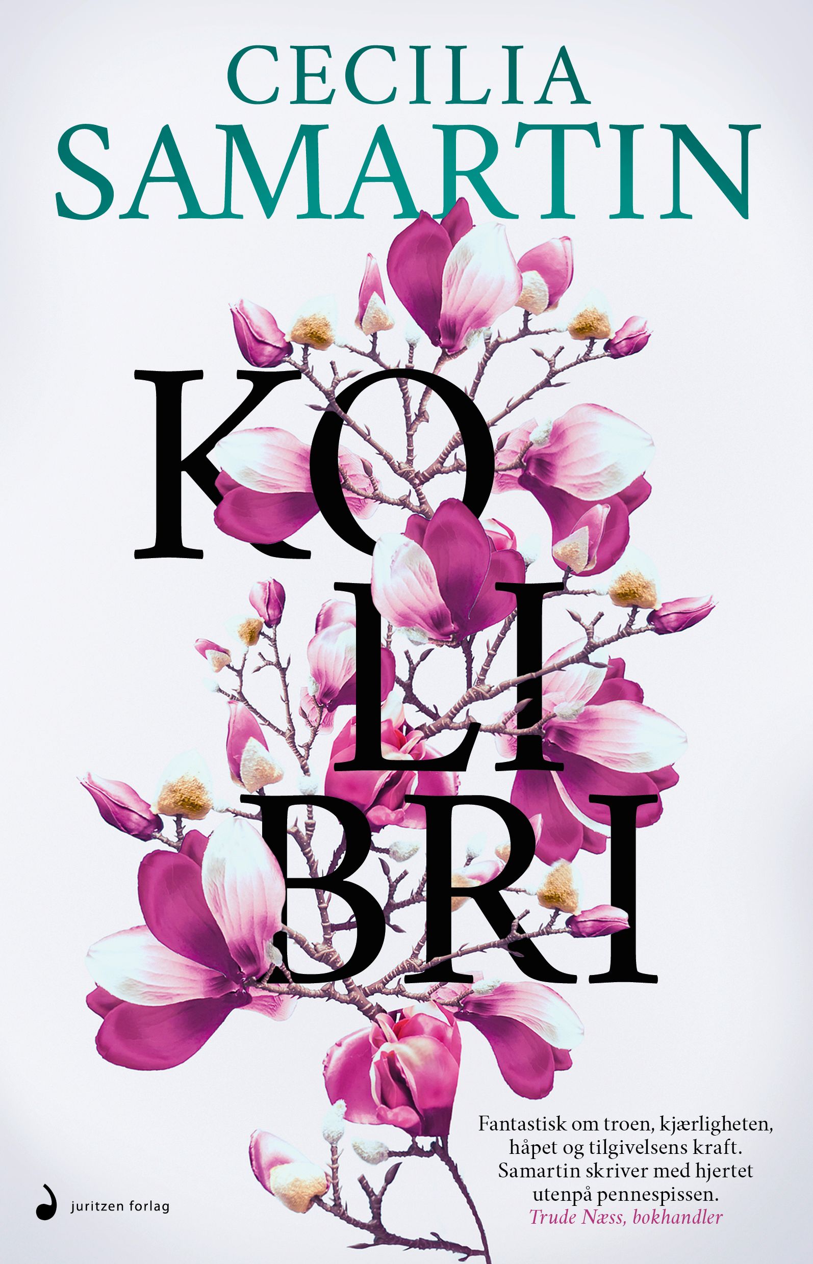 Kolibri - roman