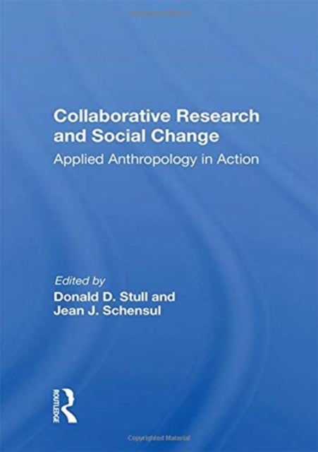 Collaborative Research And Social Change av Donald D Stull