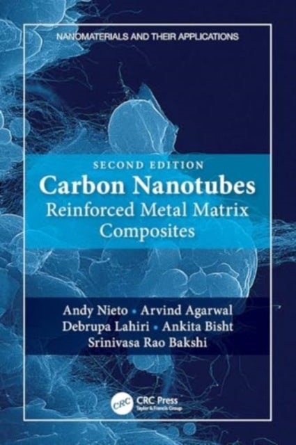 Carbon Nanotubes - Reinforced Metal Matrix Composites