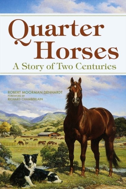 Quarter Horses - A Story of Two Centuries