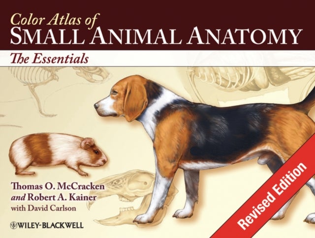 Color Atlas of Small Animal Anatomy – The Essentials - The Essentials