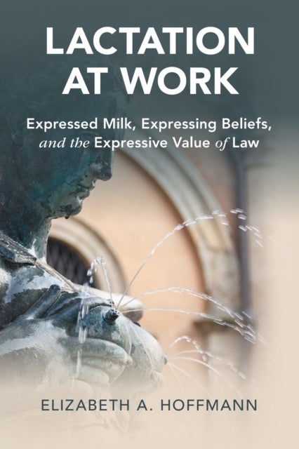 Lactation at Work - Expressed Milk, Expressing Beliefs, and the Expressive Value of Law
