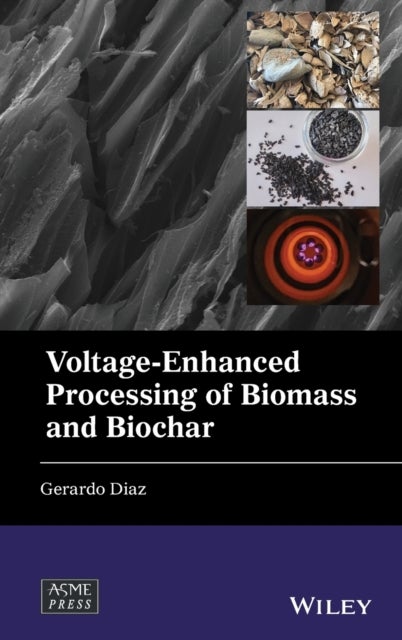Voltage–Enhanced Processing of Biomass and Biochar