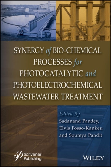 Synergy of Bio–Chemical Processes for Photocatalytic and Photoelectrochemical Wastewater Treatment