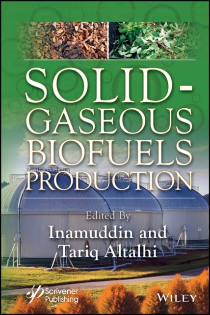 Solid–Gaseous Biofuels Production