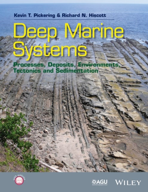 Deep Marine Systems – Processes, Deposits, Environments, Tectonics and Sedimentation